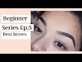 Beginner Series Part 3 - Eyebrows Start to Finish - Grooming &amp; Styling