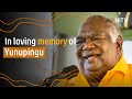 The incredible life of Yunupingu | NITV