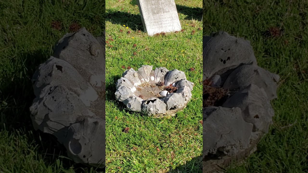 What Does Sea Shells Mean On a Headstone YouTube