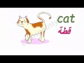 تعلم اللغة الانكليزية للاطفال - مفردات الحيوانات الاليفة - pets