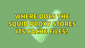 Where does the Squid proxy stores its cache files?