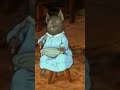 PETER RABBIT &amp; FRIENDS shorts - Tale of Pigling Bland, PART 10: &quot;Pigling Bland meets Pig Wig.&quot;