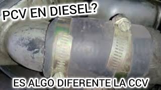 💥 Do Diesel Engines Have a PCV Valve? YES OR NO