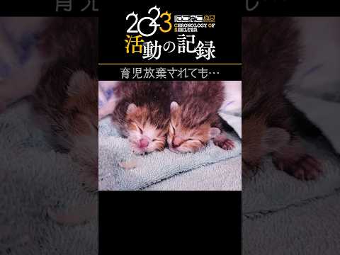 【感動の記録】たくさんの笑顔をありがとう