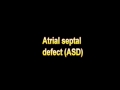What Is The Definition Of Atrial septal defect ASD Medical Dictionary Free Online