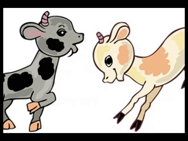 Менің әйелімді есектің фотосында блят