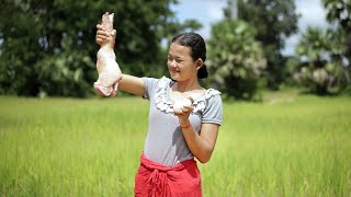 Delicious local food, Cooking pork legs Ingredients