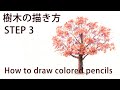 【色鉛筆画】実践編_樹木の描き方STEP 3,紅葉の桜を描く　/How to coloredpencil drawing
