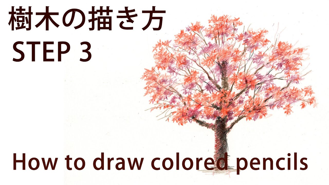 色鉛筆画 実践編 樹木の描き方step 3 紅葉の桜を描く How To Coloredpencil Drawing Youtube