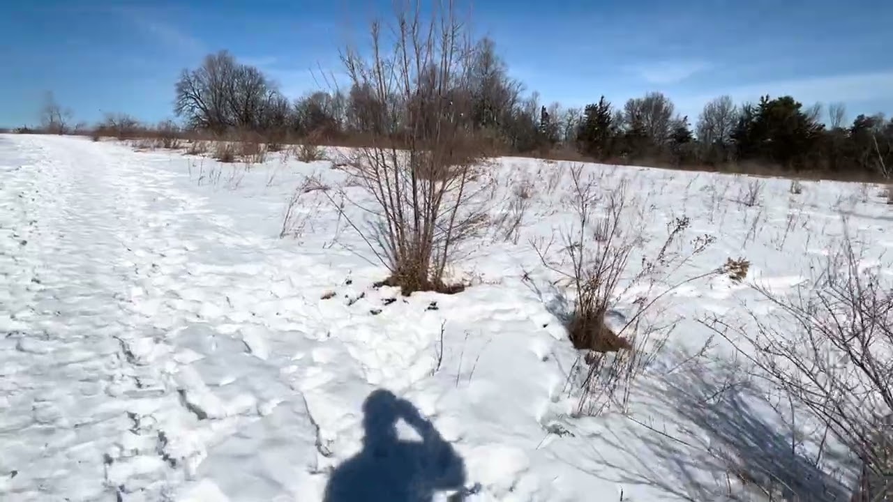 Walk in the snow ~ Dorset park, South Burlington