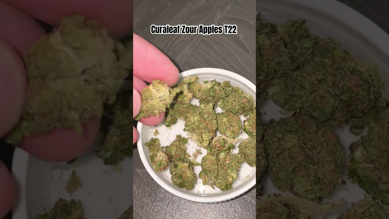 Curaleaf Zour Apples Review T22 