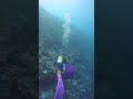 Happy PADI Women’s Dive Day from Hideaway Maldives