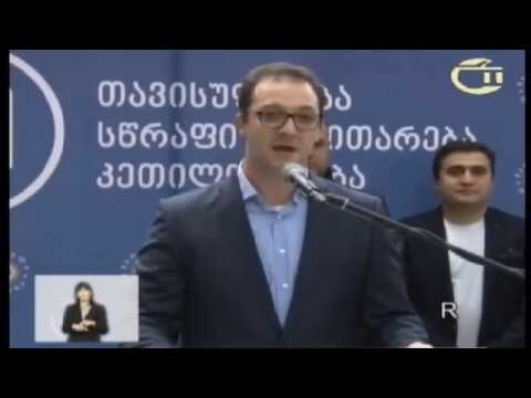 დავით სონღულაშვილის წინასაარჩევნო კამპანიის შეჯამება