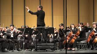 2019 TMEA All-State Sinfonietta Orchestra-Tchaikovsky Symphony No.5, Movement I