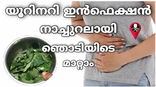 Home remedies for urinary tract infection in malayalam | UTI natural treatment | Prs kitchen tips screenshot 1