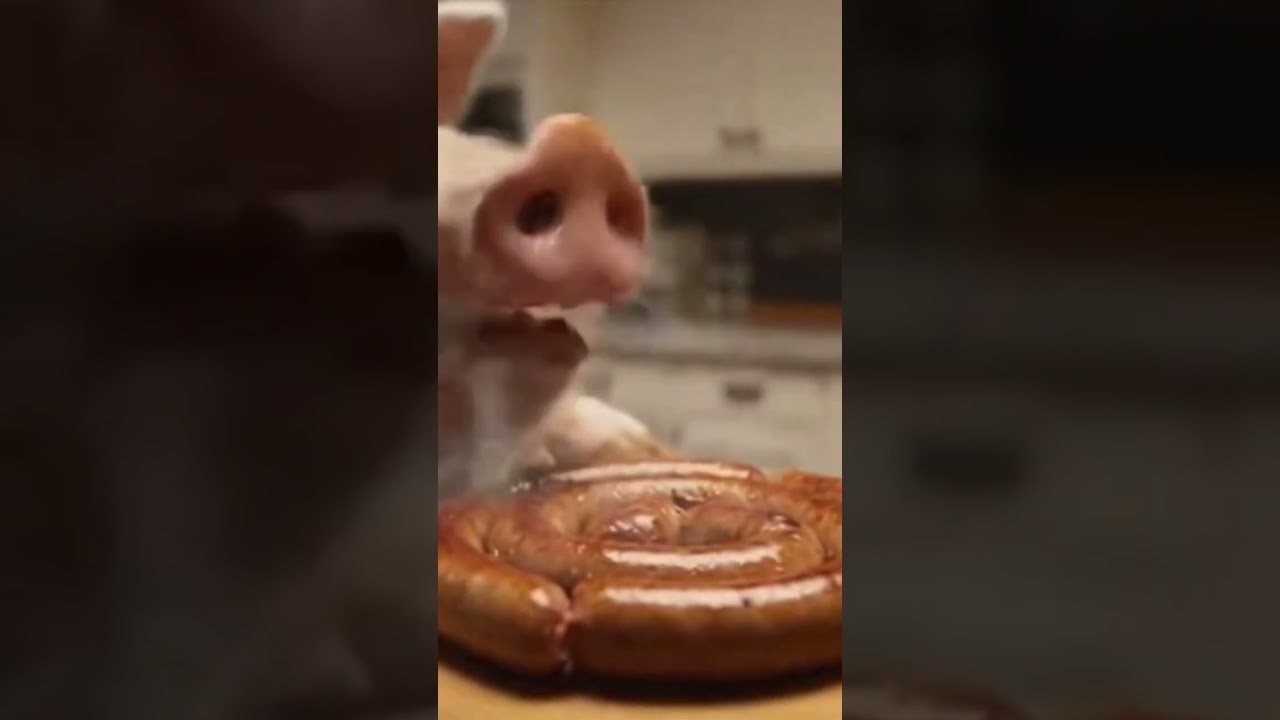 But Rudd to break into my house 