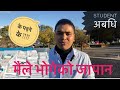 जापानमा धैरै आस बोकेर आऊने हरु हैरौ कहानि student life japan Nepali video
