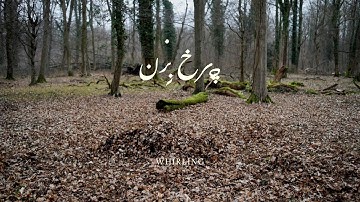 Arts for Social Inclusion: Whirling (چرخ بزن) - Elena&Joel