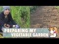 Preparing my Vegetable Garden 🌱 Garden vlog