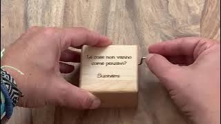 We are the champions