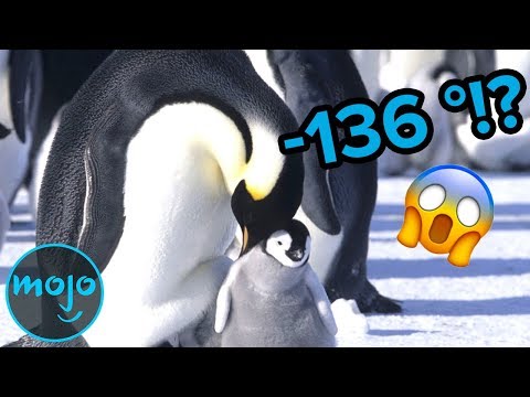 Top 10 Coldest Places on Earth