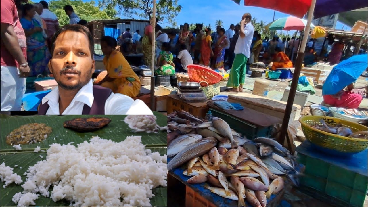 ஒரு கிலோ மீன் வெறும் 100 ரூபா    Eating at a fish food and fish market tour full meal eating