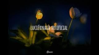 ✨ luciérnaga artificial ✨ ~Nasa Histoires~ •(letra)•
