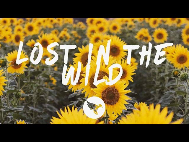 LOST IN THE WILD (TRADUÇÃO) - Walk The Moon 