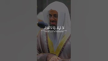 قال قرينه ربنا ما أطغيته و لكن كان في ضلال بعيد | القارئ سعود الشريم
