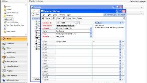 Microsoft Dynamics GP - Extender Module Demonstration