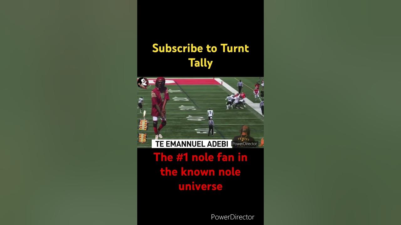 fsu 2025 TE EMMANUEL ADIBI HIGHLIGHTS floridastateseminoles 