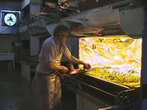 AeroFarms - YouTube