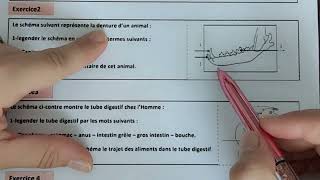 Evaluation diagnostique SVT 1AC