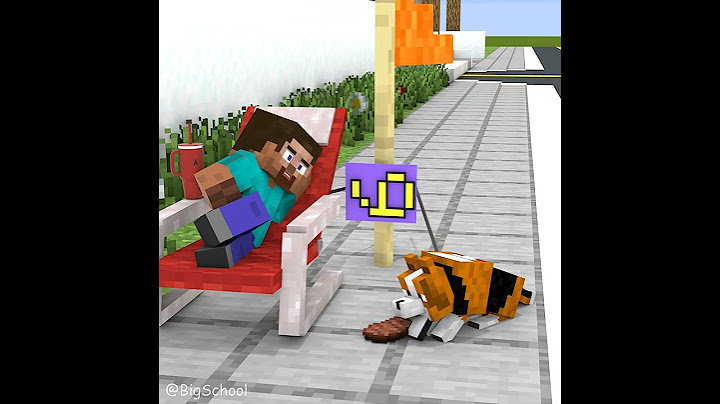 When Steve And His Dog Don'T Give Away To Each Other | Who Guesses Correctly? (9 Or 6)? 😂️