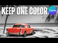 Keep One Color in Black & White Image - Canva Tutorial