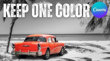 Keep One Color in Black & White Image - Canva Tutorial
