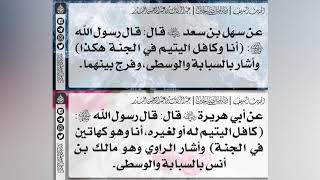 262 ، 263 - شرح حديث كافل اليتيم له أو لغيره أنا وهو كهاتين في الجنة - الشيخ : عبدالرزاق البدر