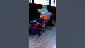 Bunny Hop!! #shorts #petoi #bittle #robot