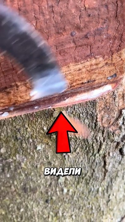 Как делают резину?🤨 (🎥: @emukjom on TT) - YouTube