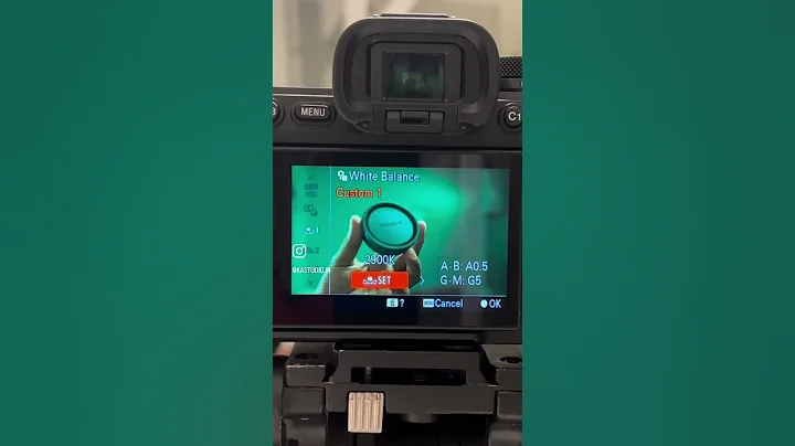 "Quick Guide: Setting White Balance with a Sony Lens Cap"