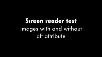 Screen reader alt attribute accessibility test