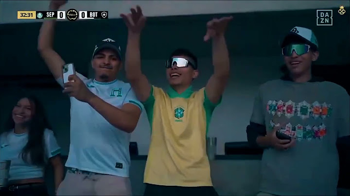 ملخص وأهداف مباراة بالمراس و بوتافوجو - كأس العالم للأندية  الولايات المتحدة الأمريكية FIFA 2025