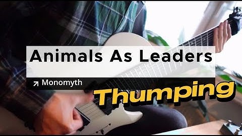 Tutorial #22 with TABS Animals As Leaders - Monomyth thumping -   Tosin Abasi