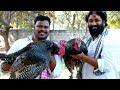 TURKEY BIRYANI || Festival Special Turkey Biryani || Amazing Turkey Biryani || 10 kgs TurkeysBiryani