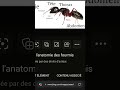 1 des fourmis sur la 🌒 lune * similitude ? incohérences ? que sont les ombres sur la surface lunaire