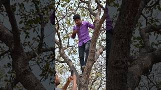 Ped pe nahi bhai, CONTENT pe chadh raha hu 😎🔥”#comedy #gondwanacomedy2 #trendingshorts #funny #mp