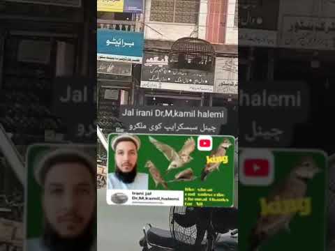 جل ایرانی