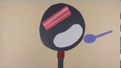 2019 Intro to Animation showreel