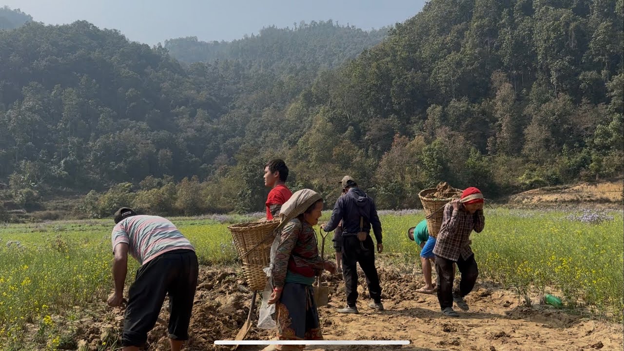 कुलो को लागी दिन भरि माटो बोकीयो किसनी हरू#min joi#villagevlog 