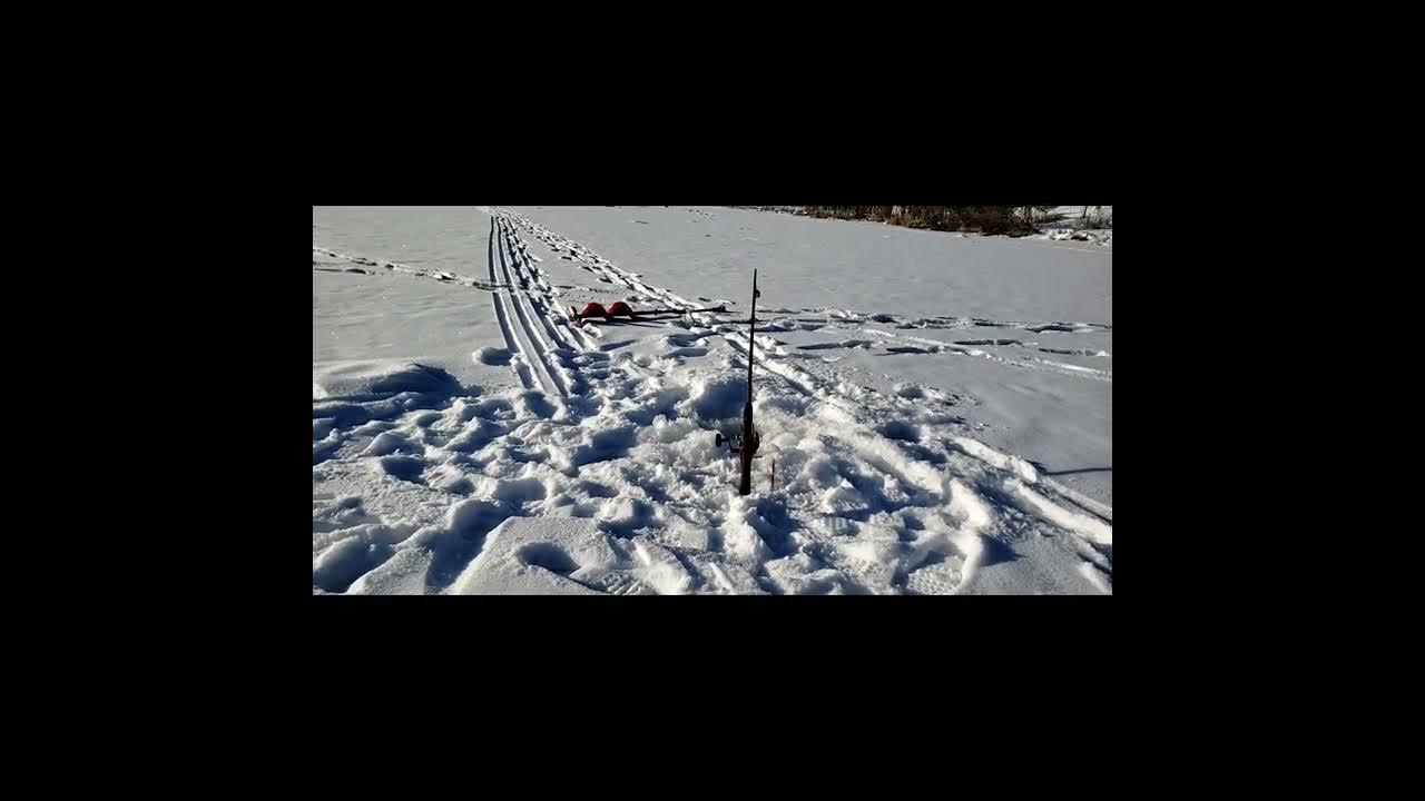 Burbot and trout fishing Bonner lake North Idaho. YouTube